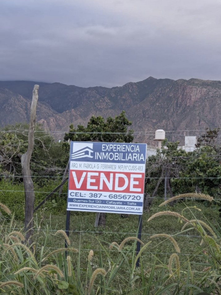 2 TERRENOS DE 250M2 CADA UNO EN BARRIO EL TRANSITO CAFAYATE