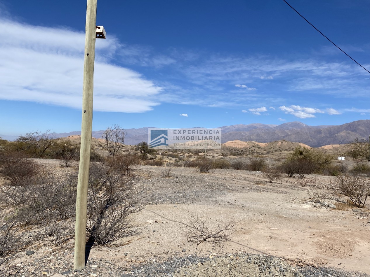 VENTA DE FINCA CON CASA EN SAN CARLOS PROVINCIA DE SALTA