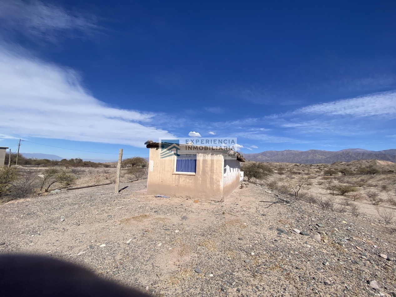 VENTA DE FINCA CON CASA EN SAN CARLOS PROVINCIA DE SALTA