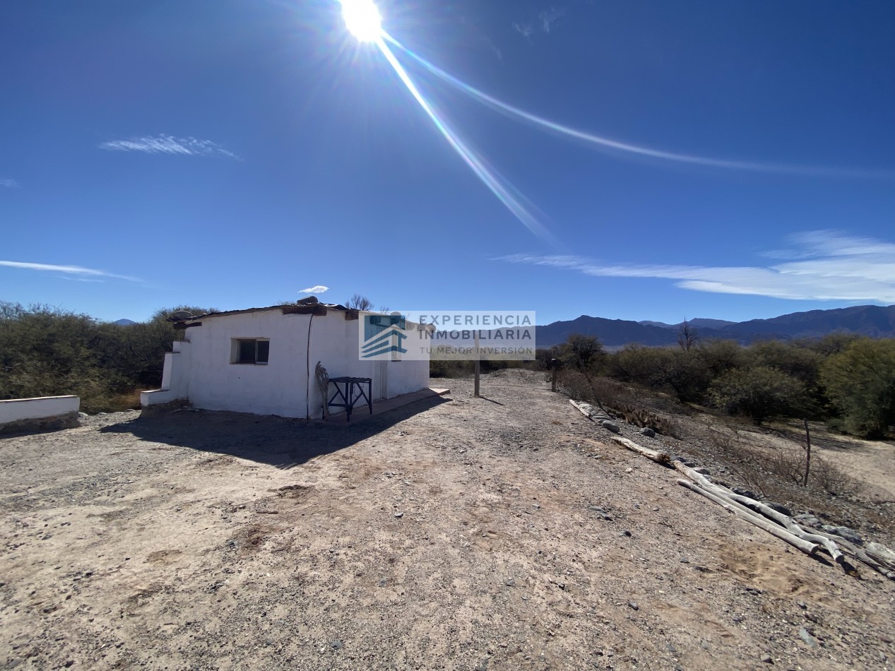 VENTA DE FINCA CON CASA EN SAN CARLOS PROVINCIA DE SALTA