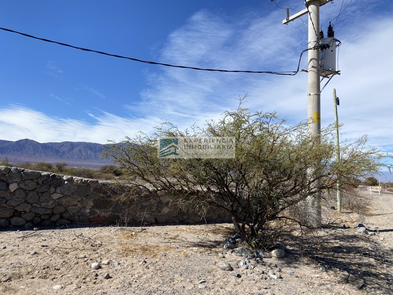 VENTA DE FINCA CON CASA EN SAN CARLOS PROVINCIA DE SALTA