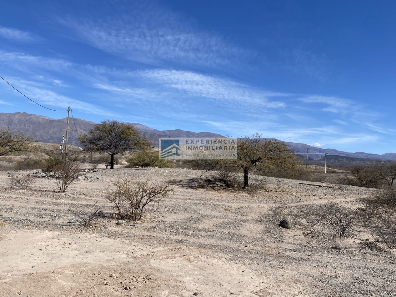 VENTA DE FINCA CON CASA EN SAN CARLOS PROVINCIA DE SALTA