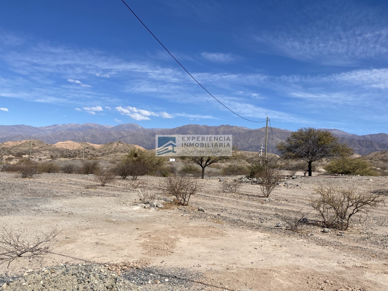 VENTA DE FINCA CON CASA EN SAN CARLOS PROVINCIA DE SALTA
