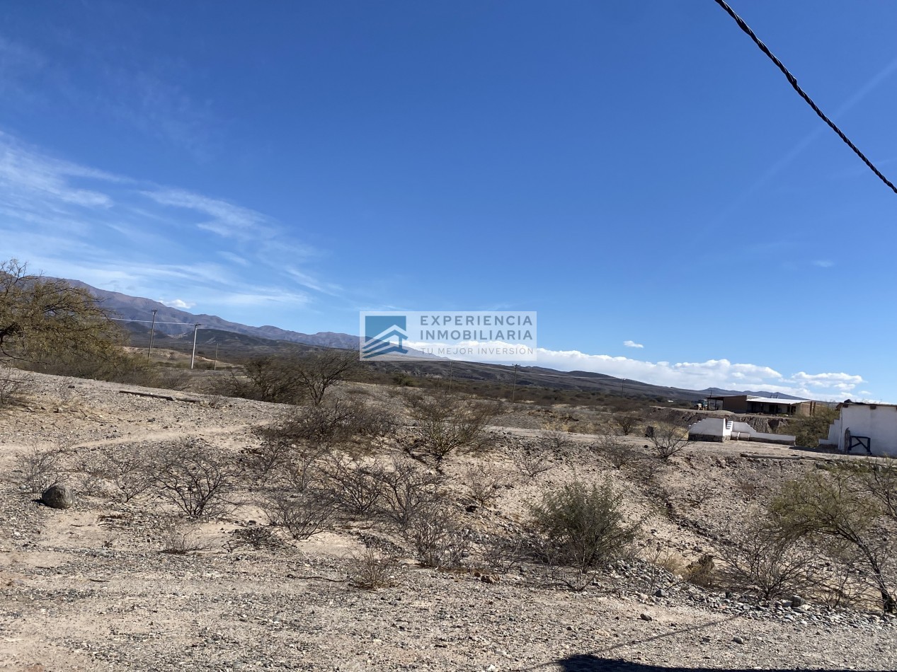 VENTA DE FINCA CON CASA EN SAN CARLOS PROVINCIA DE SALTA